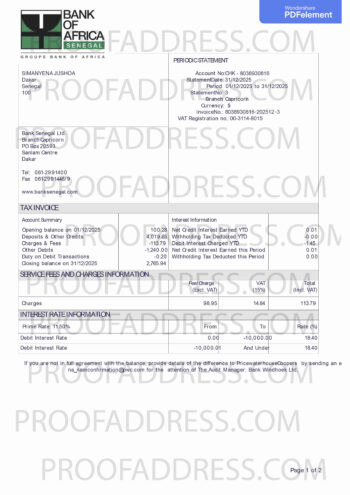 bank statement Bank of Africa