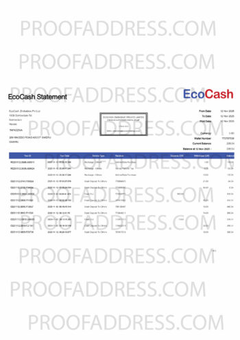 bank statement EcoCash