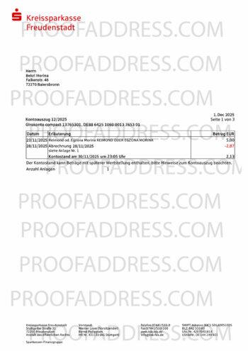 bank statement Kreissparkasse Freudenstadt