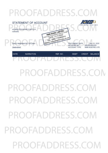 bank statement NMB Bank