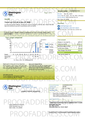 utility bill WASHINGTON GAS