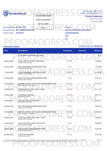 bank statement STANDARD BANK